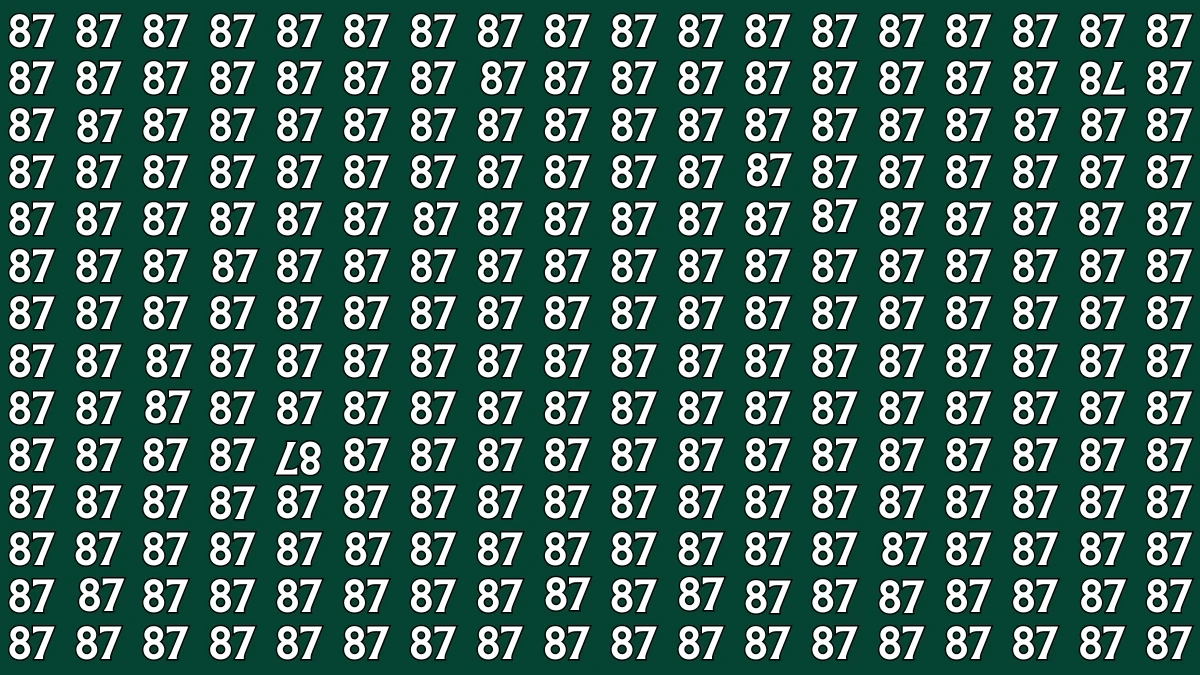 Optical Illusion: Within 6 Seconds Spot The Inverted 78 and 87 among 87s