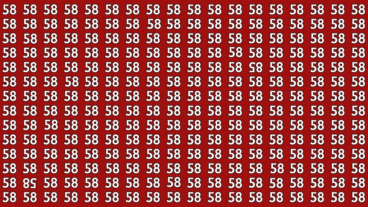 Optical Illusion: Within 8 Seconds Spot The Inverted 85 and 58 among 58s