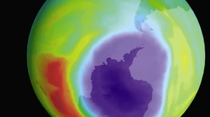 Ozone Layer on Track to Recover to 1980s Levels by Mid-Century, Says WMO Report