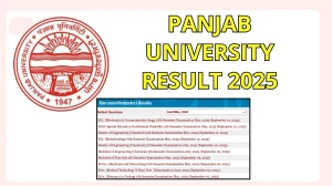 Panjab University Result 2025 Out at puexam.in Direct Link to Download 2nd, 3rd, 4th, and 6th Semester Result
