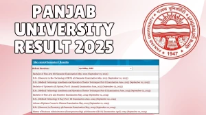 Panjab University Result 2025 Released at puexam.in Direct Link to Download 2nd, 4th, and 6th Semester Result