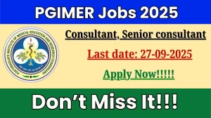 PGIMER Recruitment 2025 - Apply Offline for 02 Consultant, Senior consultant Posts by Sep 27