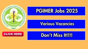 PGIMER Recruitment 2025 - Apply Offline for Junior Consultant, Data Manager Posts by Sep 30