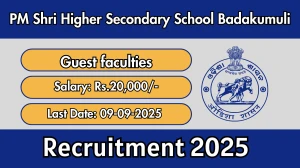 PM Shri Higher Secondary School Badakumuli Guest faculties Recruitment 2025 - Apply Offline for 05 Posts by Sep 09