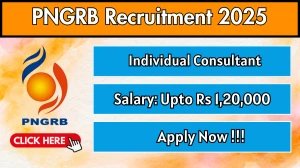 PNGRB Individual Consultant Recruitment 2025 - Apply Offline