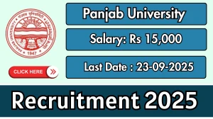 Panjab University Interns Recruitment 2025 – Walk in