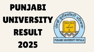 Punjabi University Result 2025 Out at puexam.in Direct Link to Download 1st, 3rd, 4th, 6th Semester Result