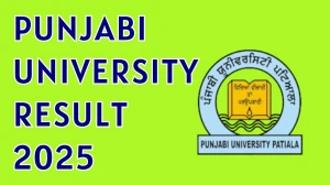 Punjabi University Result 2025 Out at pupexamination.ac.in Direct Link to Download 1st, 2nd, 3rd, 4th, 5th, 6th, 7th, 8th and 10th Semester Result