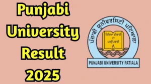 Punjabi University Result 2025 Out at pupexamination.ac.in Direct Link to Download 2nd and 3rd Semester Result