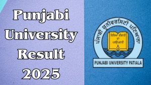 Punjabi University Result 2025 Out at pupexamination.ac.in Direct Link to Download 3rd Semester Result