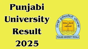 Punjabi University Result 2025 Out at pupexamination.ac.in Direct Link to Download UG, PG Programme Result