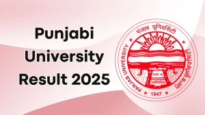 Punjabi University Result 2025 Released at puexam.in Direct Link to Download 1st, 2nd, 3rd, 4th, 5th, 6th, 8th Sem Result