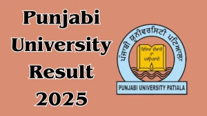 Punjabi University Result 2025 Released at pupexamination.ac.in Direct Link to Download 1st, 2nd, 3rd, 4th and 6th Semester Result