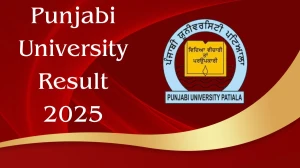 Punjabi University Result 2025 Released at pupexamination.ac.in Direct Link to Download 1st, 2nd, 6th and 8th Semester Result