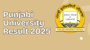 Punjabi University Result 2025 Declared at pupexamination.ac.in Direct Link to Download 1st, 2nd, 3rd, 4th Sem Result