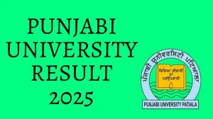 Punjabi University Result 2025 Released at pupexamination.ac.in Direct Link to Download 2nd and 4th Semester Result