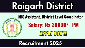 Raigarh District Recruitment 2025 - Apply Offline for 03 MIS Assistant, District Level Coordinator Posts