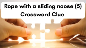 Rope with a sliding noose Crossword Clue Irish Daily Mail Quick 5 letters Answer