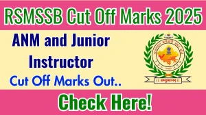 RSMSSB ANM and Junior Instructor Cut Off Marks 2025 Released Check Cut off Marks here rssb.rajasthan.gov.in