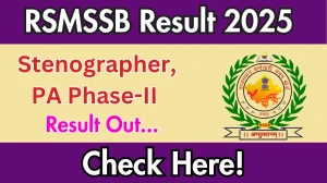 RSMSSB Stenographer, PA Phase-II Result 2025 Out at rsmssb.rajasthan.gov.in, Direct Link to Download Result PDF Here