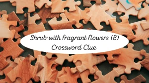 Shrub with fragrant flowers Crossword Clue Irish Daily Mail Quick 8 letters Answer Shrub with fragrant flowers Crossword Clue Irish Daily Mail Quick 8 letters Answer