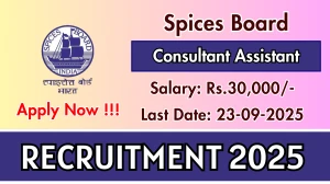 Spices Board Consultant Assistant Recruitment 2025 - Apply Online by Sep 23