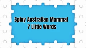 Spiny Australian Mammal 7 Little Words 7 letters Answer
