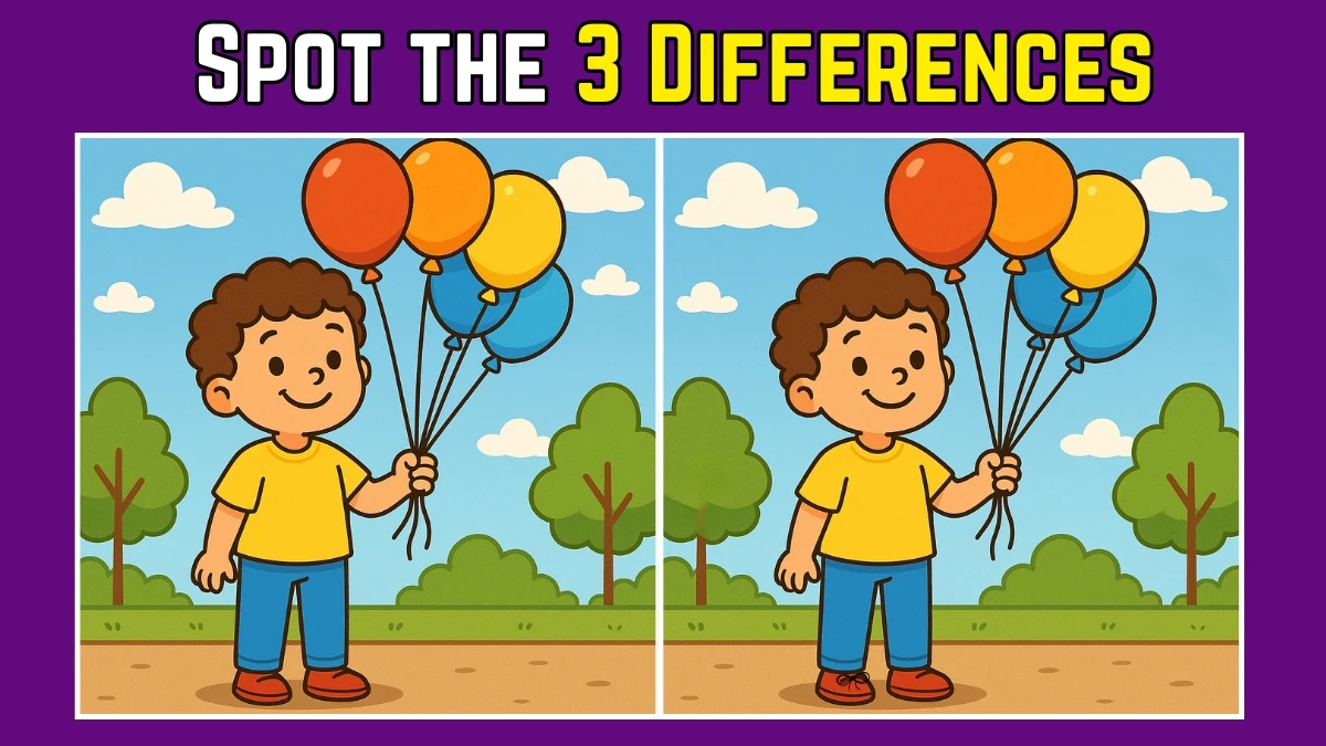 Spot the Difference: Within 7 Seconds Spot The 3 Differences in this Boy Standing With Balloons Image