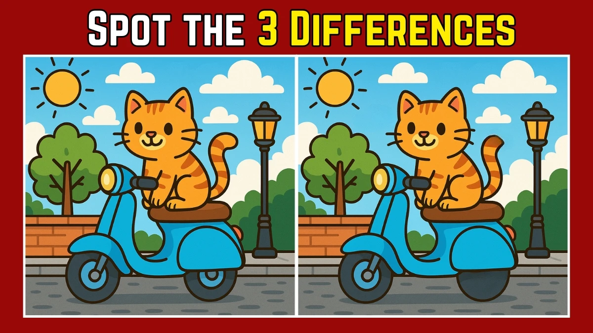Spot the Difference: Within 7 Seconds Spot The 3 Differences in this Cat Sitting on a Scooter Image