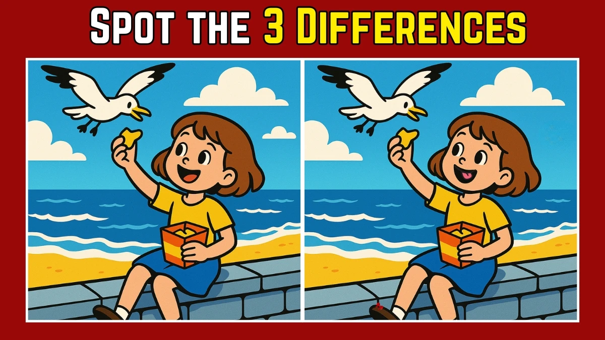 Spot the Difference: Within 7 Seconds Spot The 3 Differences in this Girl Feeding Bird Image