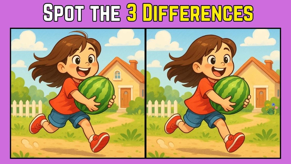 Spot the Difference: Within 7 Seconds Spot The 3 Differences in this Girl with Watermelon Image