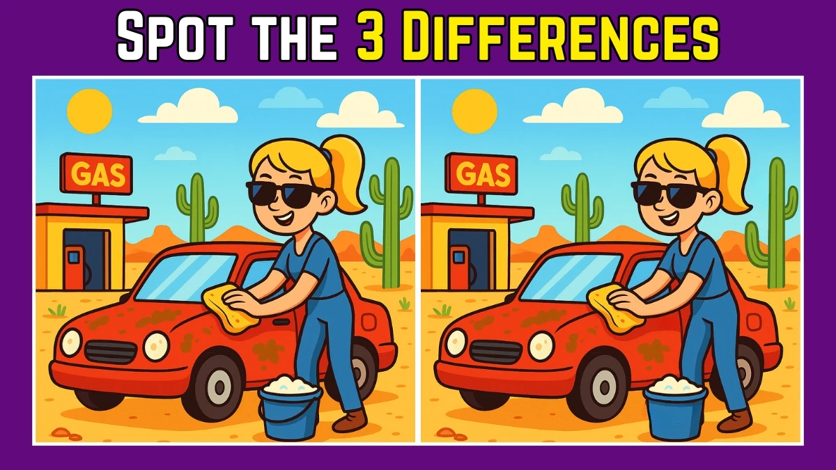Spot the Difference: Within 7 Seconds Spot The 3 Differences in this Lady Cleaning Car Image