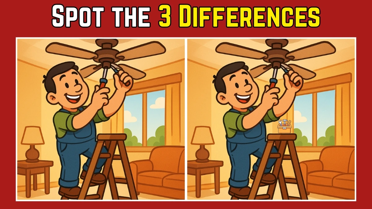 Spot the Difference: Within 7 Seconds Spot The 3 Differences in this Man Repairing Fan Image