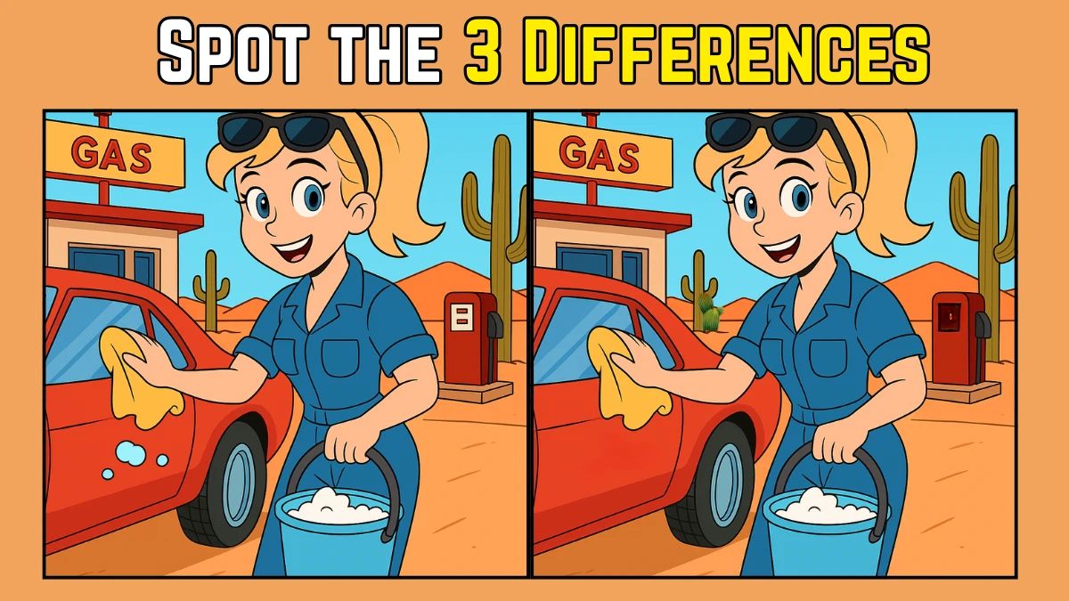 Spot the Difference: Within 7 Seconds Spot The 3 Differences in this Women Cleaning Car Image