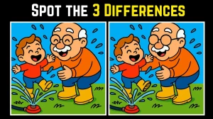Spot the Difference: Within 8 Seconds Spot The 3 Differences in this Grandpa with Child Image