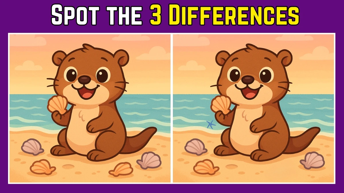 Spot the Difference: Within 8 Seconds Spot The 3 Differences in this Otter Image