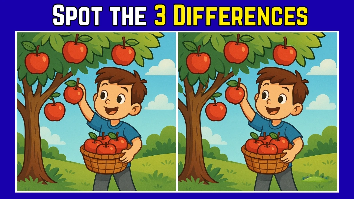Spot the Difference: Within 9 Seconds Spot The 3 Differences in this Boy Plucking Apple Image