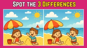 Spot the Difference: Within 9 Seconds Spot The 3 Differences in this Children Playing on the Beach Image