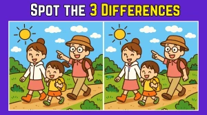 Spot the Difference: Within 9 Seconds Spot The 3 Differences in this Family Vacation Image
