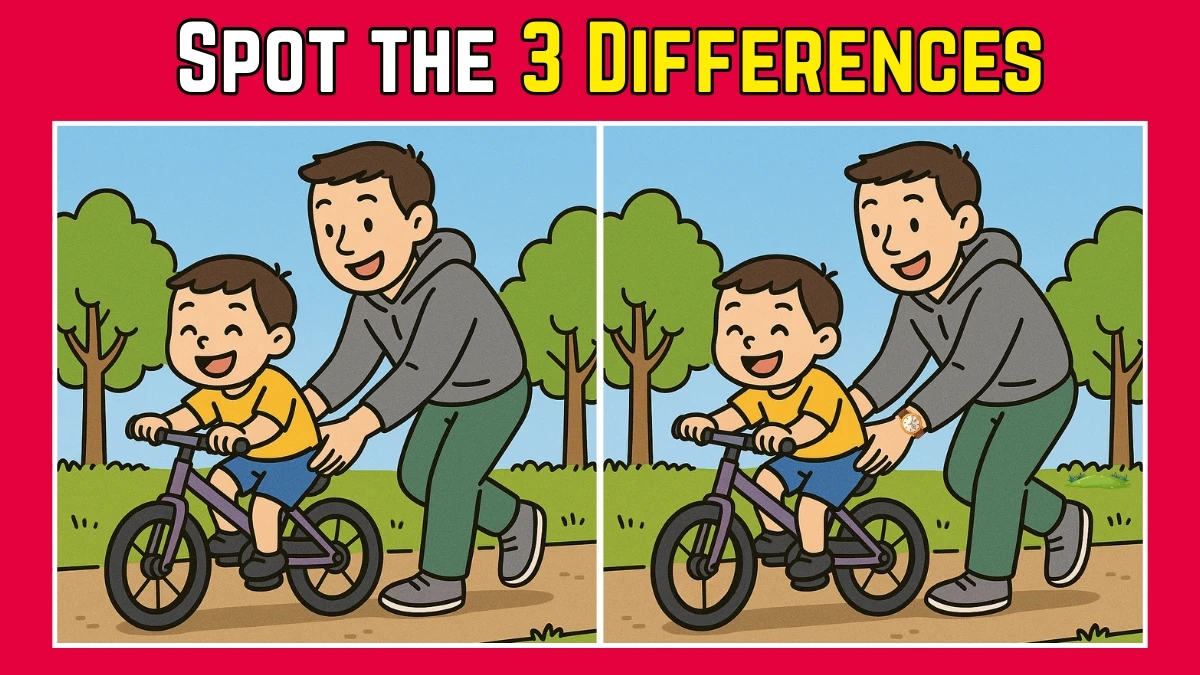 Spot the Difference: Within 9 Seconds Spot The 3 Differences in this Father and Son Image