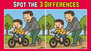 Spot the Difference: Within 9 Seconds Spot The 3 Differences in this Father and Son Image