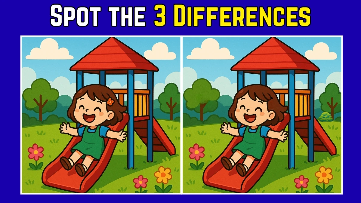 Spot the Difference: Within 9 Seconds Spot The 3 Differences in this Girl Playing On Slide Image
