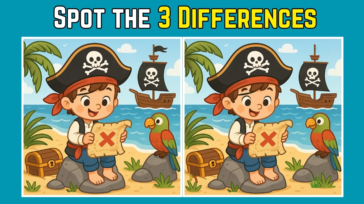 Spot the Difference: Within 9 Seconds Spot The 3 Differences in this Pirate with Parrot Image