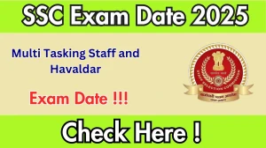 SSC MTS 2025 Exam Update – Check Dates & Important Information SSC MTS 2025 Exam Update – Check Dates & Important Information