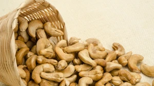 TN Government Forms Cashew Board with Headquarters in Cuddalore