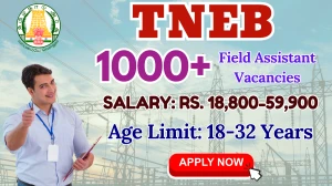 TNEB Field Assistant Recruitment 2025 through TNPSC - Apply Online for 1794 Posts by Oct 02 TNEB Field Assistant Recruitment 2025 through TNPSC - Apply Online for 1794 Posts by Oct 02