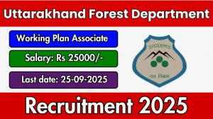 Uttarakhand Forest Department Working Plan Associate Recruitment 2025 - Apply Offline for 02 Posts by Sep 25