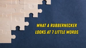 What a rubbernecker looks at 7 Little Words 11 letters Answer