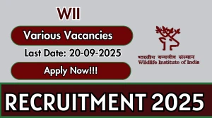 WII Recruitment 2025 - Apply Offline for 42 Project Scientist, Project Associate and More Posts