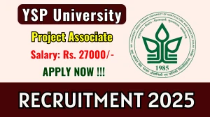YSP University Project Associate Recruitment 2025 – Walk in